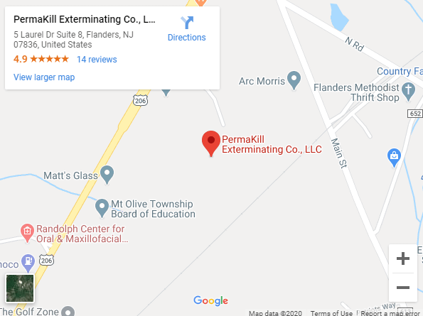 Link to Permakill Exterminating on Google Maps