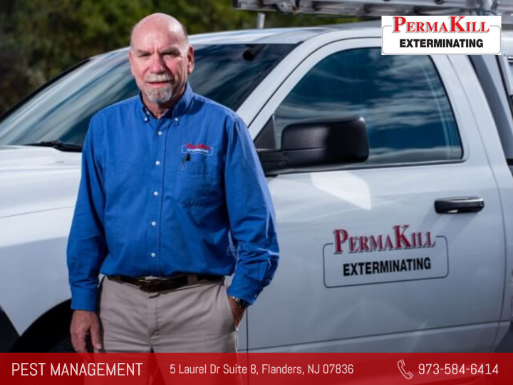 professional pest control worker for permakill exterminating
