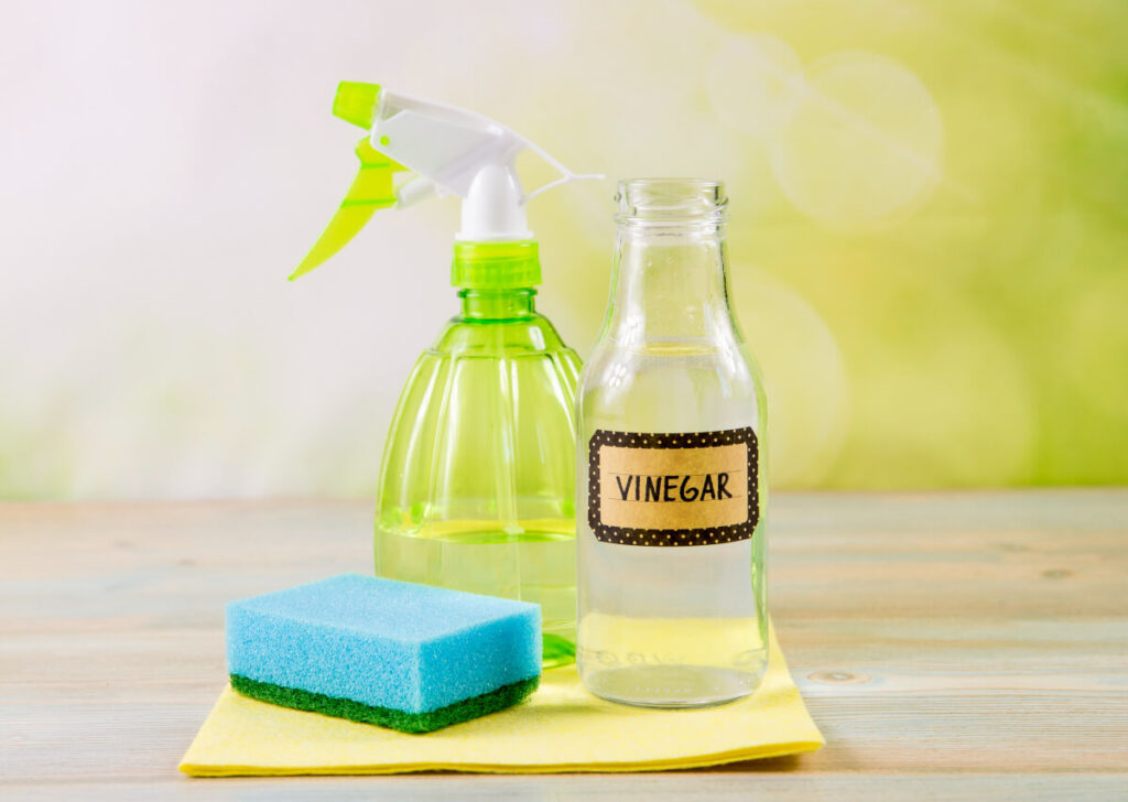 vinegar for and repel and pest control 