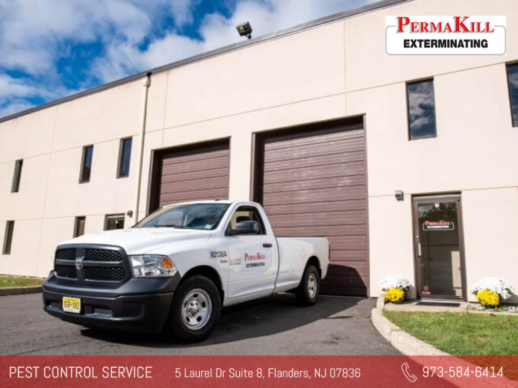 professional pest control vehicle by permakill exterminating 