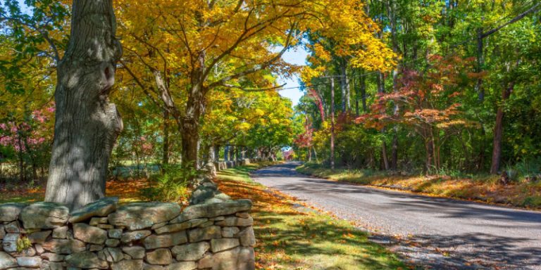 best pest control services in morris county