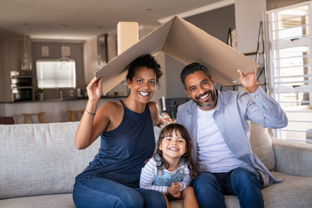 can black ants protect your house from termites?