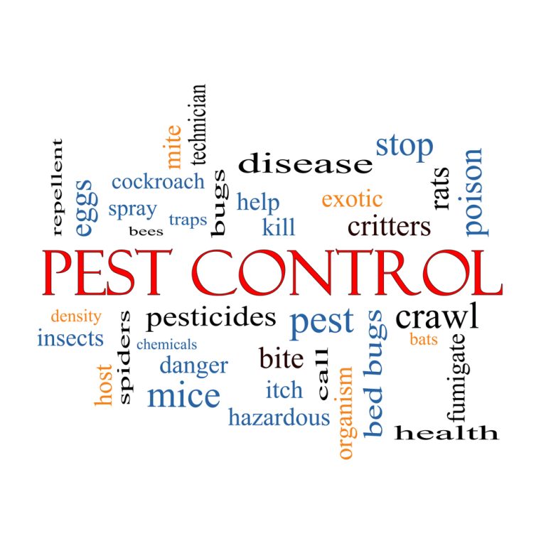pest control word cloud concept