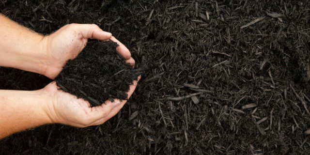 the effects of fall mulching