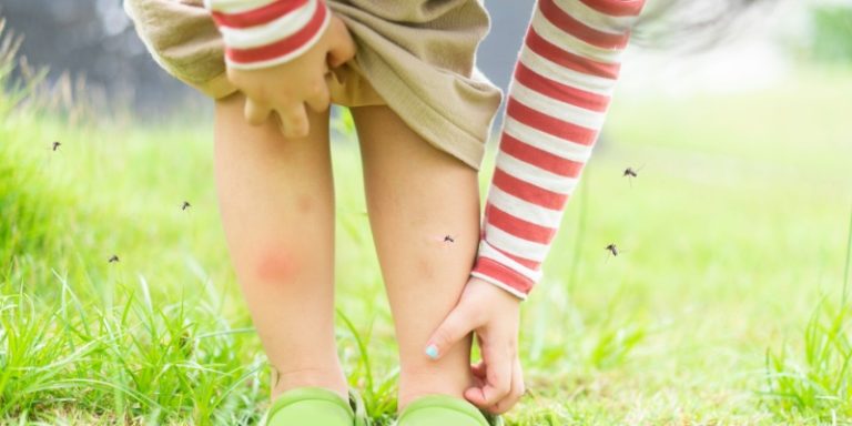 why do i have a mosquito problem in my yard?
