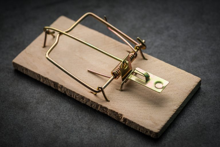 Best Mouse Trap