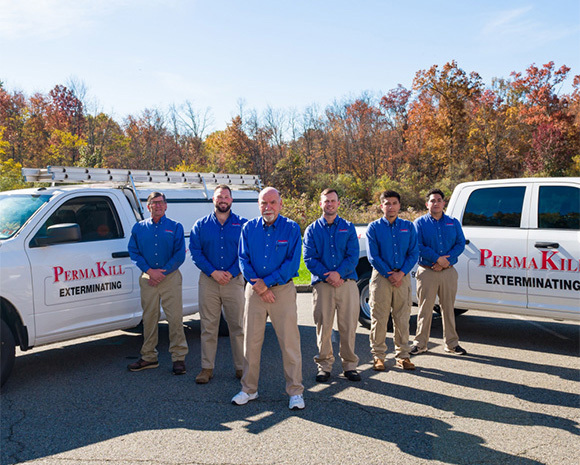 exterminator sparta township nj